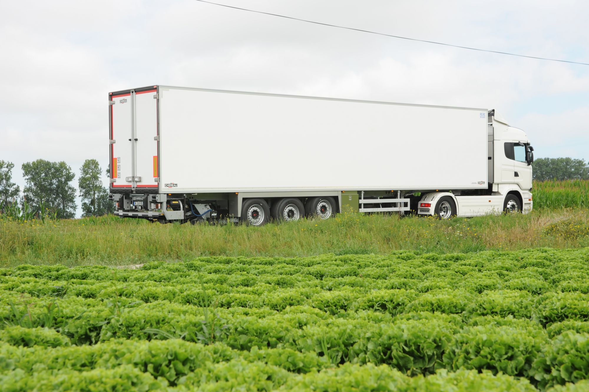 Copie de Véhicules utilitaires frigorifiques CHEREAU (10)